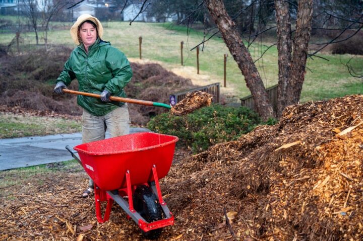 Les catholiques entretiennent lenvironnement dans les jardins les cours et