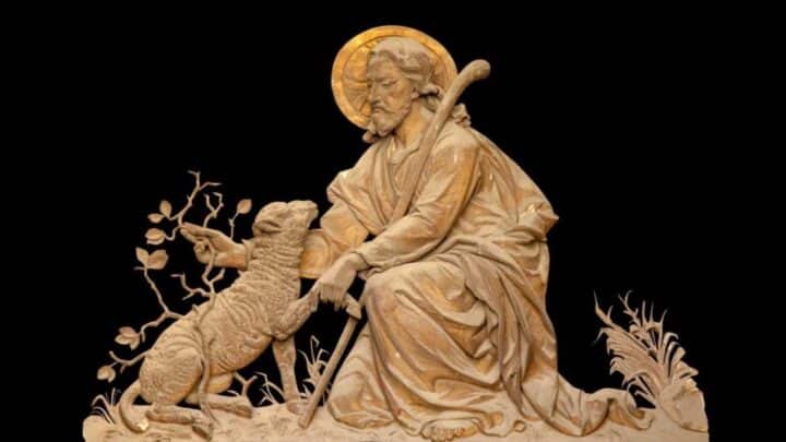Reflexion du Pape sur lEvangile du Bon Pasteur daujourdhui et 1024x576 1